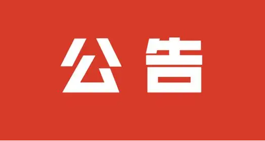 武穴市鄉村振興農村道路建設項目 施工招標公告