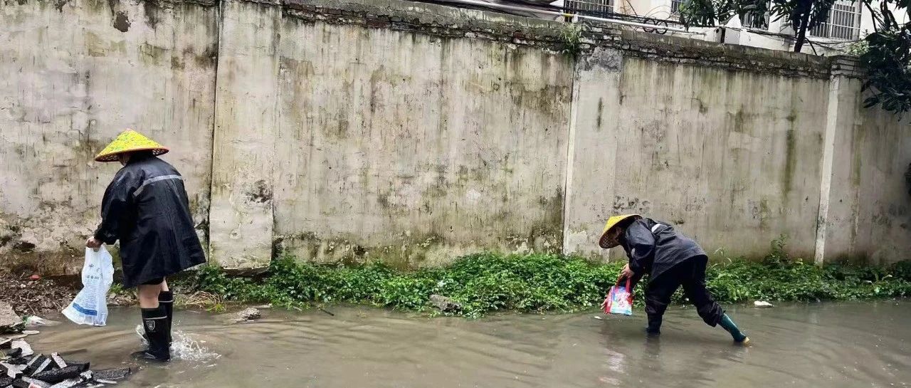 迅速行動(dòng)除隱患 排澇減災保家園